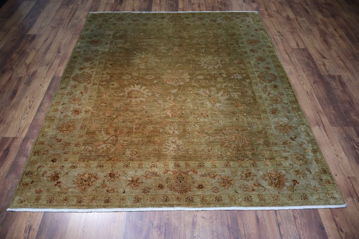 Ziegler - 地毯 - 300 cm - 250 cm