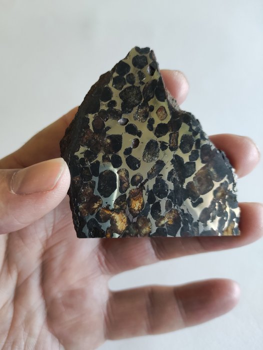 塞里乔陨石 橄榄石 - 高度: 66.9 mm - 宽度: 62.5 mm - 37.3 g - (1)
