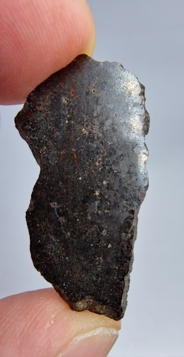 Meteoritt Plutonic Angrite, Rafsa 007. Svært sjelden, ingen reservepris - 2.92 g