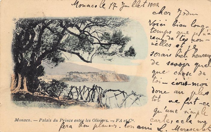 摩纳哥 - 美丽、种类繁多 - 美丽的选择 - VF - 明信片 - 1905-1950
