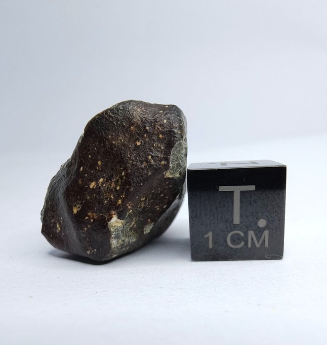 Meteorit NWA 14131. HED, Eukrit - 7.25 g - (1)