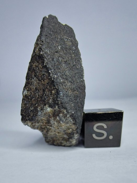 隕石：El Menia L5，2023 年秋季觀測到。 超級新鮮而且沒有底價。 - 13.59 g