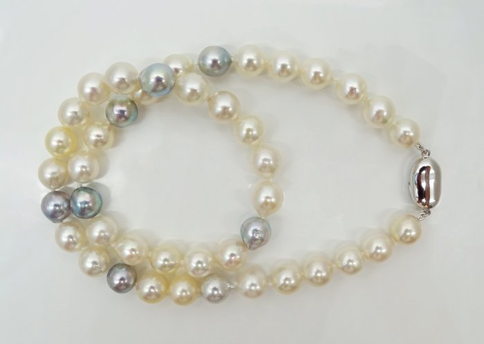 Akoya Pearls, Natural Candy Colors, 8.5 -9 mm - 頸鏈 銀 