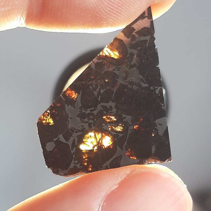 Seymchan meteorite. In collection box. Pallasite - 2.1 g