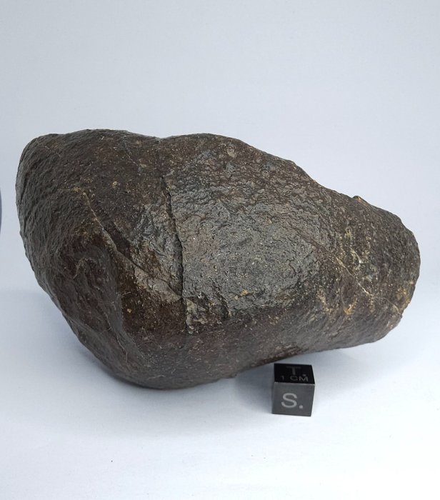 Meteorit Közönséges kondrit. Ne foglaljon le árat. - 725 g - (1)