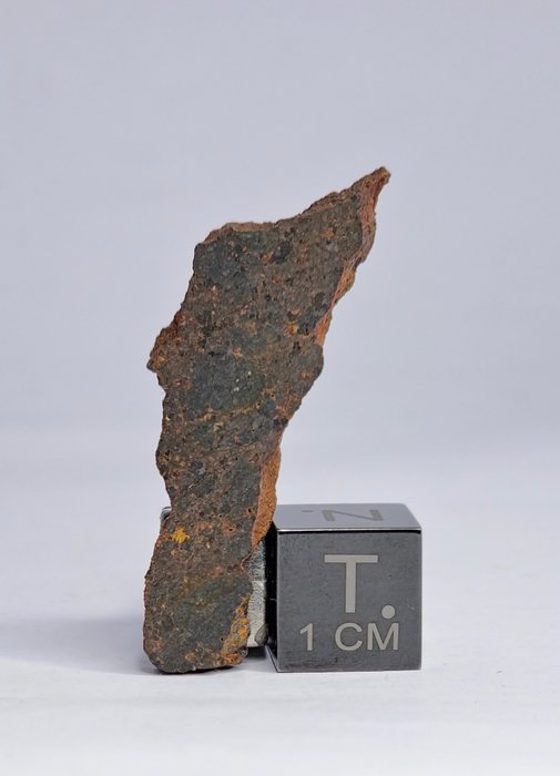 陨石 Brachinite，原始无球粒陨石 NWA 11756。 去除稀有材料。不保留价格。 - 3.69 g - (1)