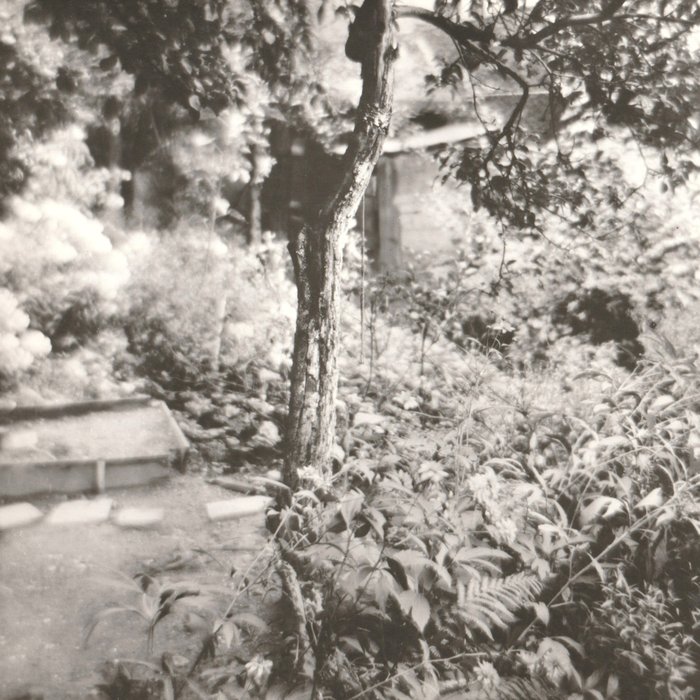 Josef Sudek - The Garden I Am Watching + 1955 +