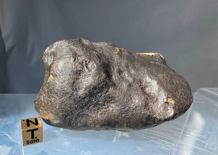 Szép osztályozatlan a sivatagból Kondrit meteorit - 286 g - (1)