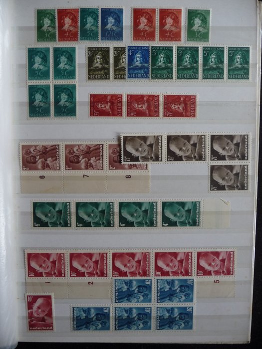 Niederlande 1937/2001 - Posten postfrisch in 3 Einsteckbüchern - NVPH 2024