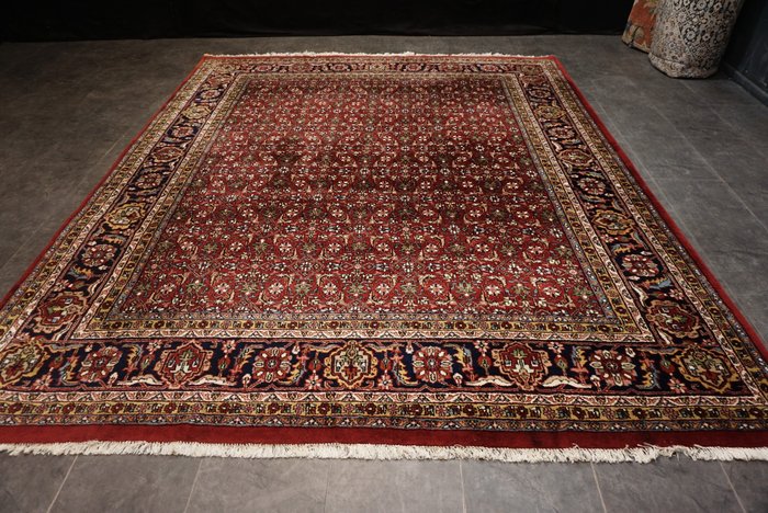Tabriz - Carpete - 295 cm - 247 cm
