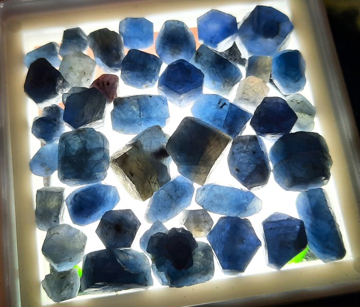 101 克拉 - 未經處理的藍色藍寶石 粗糙- 20.2 g