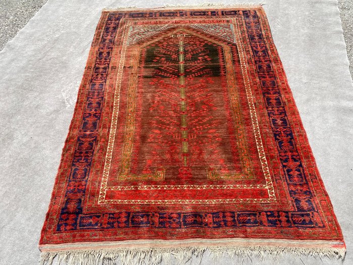 庫拉地毯，日期為 1911 年 - 地毯 - 186 cm - 131 cm
