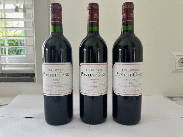 2002 les Hauts de Pontet Canet, 2nd wine of Chateau Pontet Canet - Pauillac - 3 Flessen (0.75 liter)