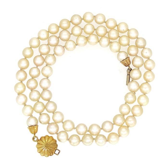 Collier - 18 carats Or jaune Perle