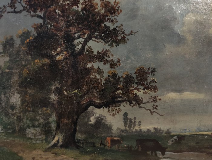 Hollandse School (XIX-XX) - Landschap met oude Eik, koeien in de polder