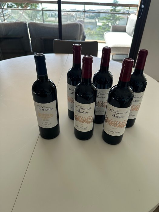 2017 La Dame de Montrose - Saint-Estèphe - 6 Bottles (0.75L)