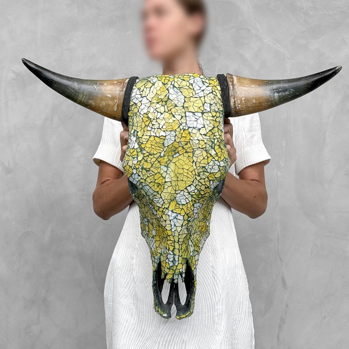 SIN PRECIO DE RESERVA - Impresionante calavera de toro con incrustaciones de mosaico de vidrio- Cráneo - Bos Taurus - 49 cm - 57 cm - 20 cm- Especie no CITES -  (1)