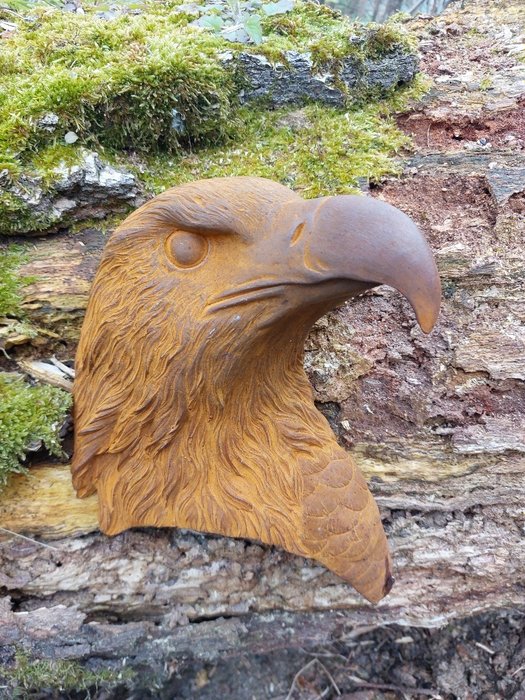 Statue, metal wall sign of hawk - 25 cm - Gusseisen