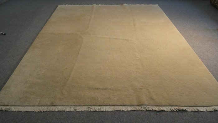 尼泊爾 - 小地毯 - 295 cm - 248 cm