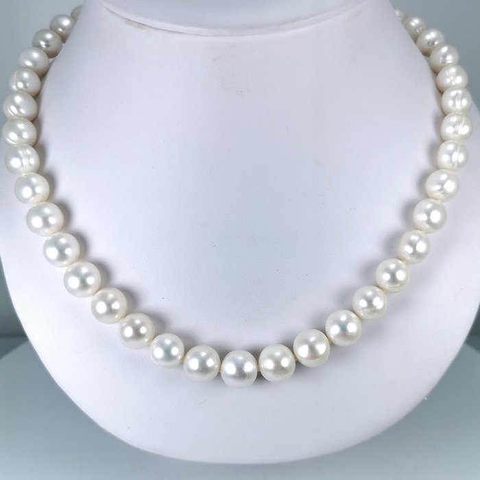 沒有保留價 - Choker Freshwater pearls RD Ø 11x12 mm - 頸鏈 銀 珍珠 