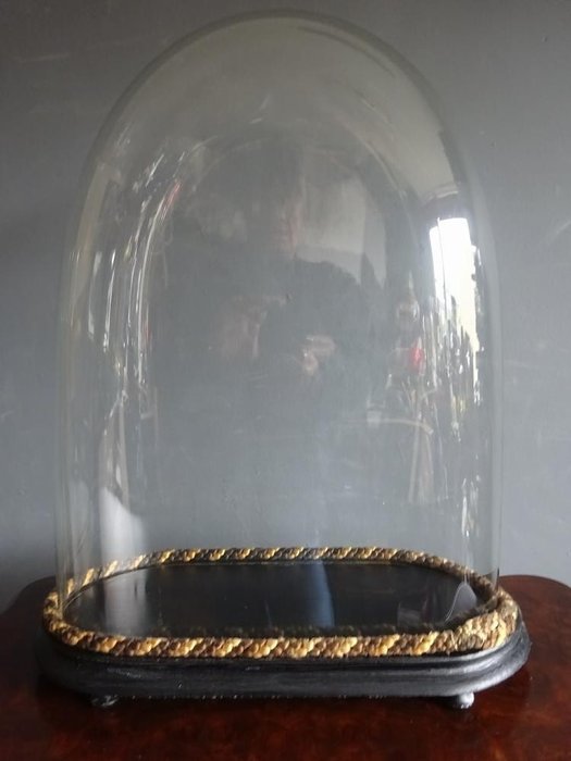 球仪 - Frankrijk - 1870年 - 维多利亚时代超大手工吹制椭圆形玻璃钟罩（52 厘米）