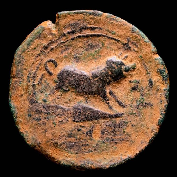 羅馬帝國 （省）, 西班牙、塞爾泰坦. anonymous. As Mint in Peñaflor (Sevilla) around 50 BC. Boar right, on spearhead, latin legend CELTITAN below. Very