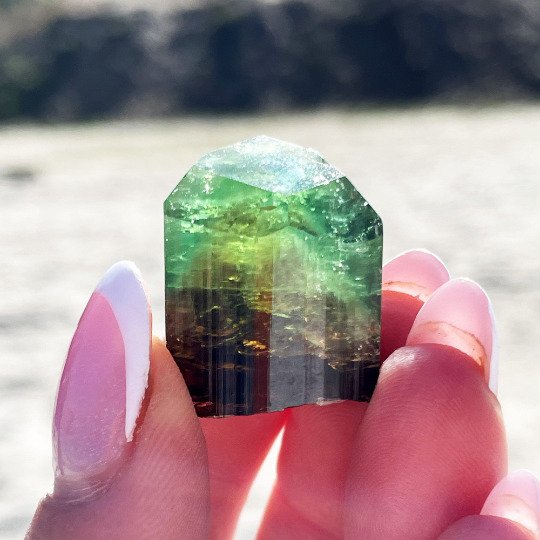 Marvel 電氣石：2016 年開採的獨家寶石！ 水晶 - 高度: 2.5 cm - 闊度: 2 cm- 16.9 g