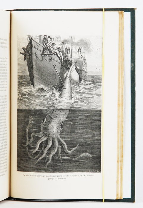 Louis Figuier - La vie et les moeurs des animaux. Zoophytes et mollusques - 1866