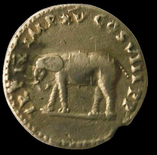 Római Birodalom. Titus (AD 79-81). Denarius Rome, January-June AD 80