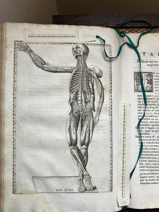 Bartolomeo Eustachius - Tabulae anatomicae... ac notis illustravit Joh. Maria Lancisius - 1714