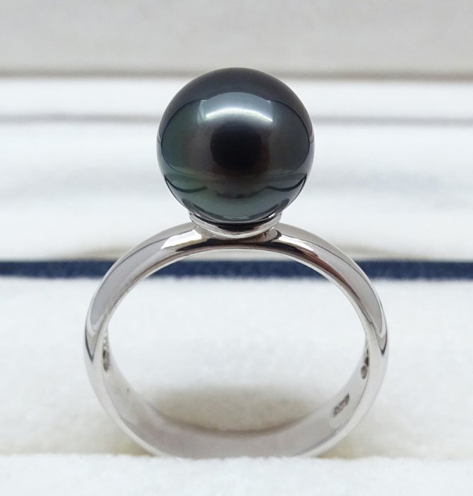 沒有保留價 - Tahitian Pearl, Rikitea Pearl, Midnight Blue, Round, 9.67 mm - 戒指 - Size: Ring Size Selectable from size US 4.5 to 9.5 925銀 