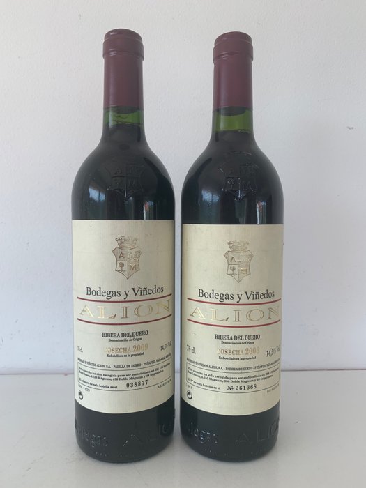 2003 & 2009 Bodegas y Viñedos Alión - 里貝拉格蘭德爾杜羅 - 2 瓶 (0.75L)