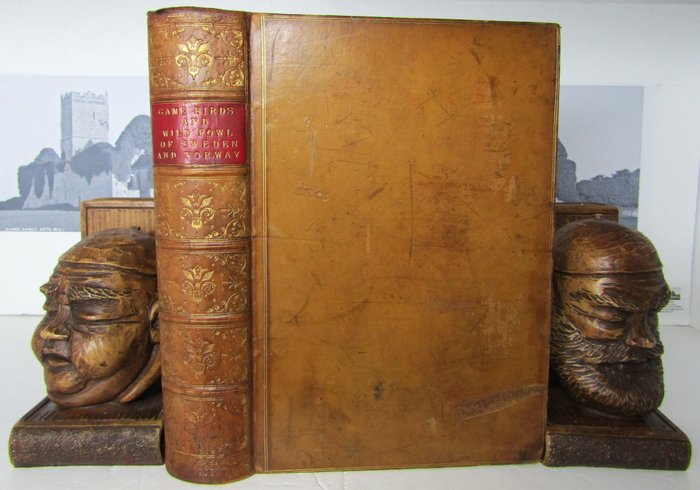 L. Lloyd - The Game Birds and Wild Fowl of Sweden and Norway - 1867