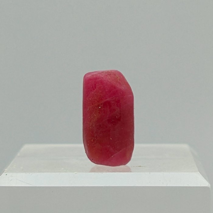 Stor RUBY 22,45 ct, TOP Kristall, 100 % naturlig Kristall - Höjd: 18 mm - Bredd: 10 mm- 4.49 g