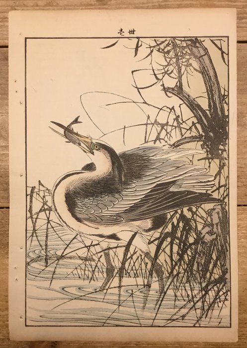 Uit de serie "Keinen kacho gafu" 景年花鳥画譜, een blauwe reiger - Imao Keinen (1845-1924) - Japan -  Meiji period (1868-1912)