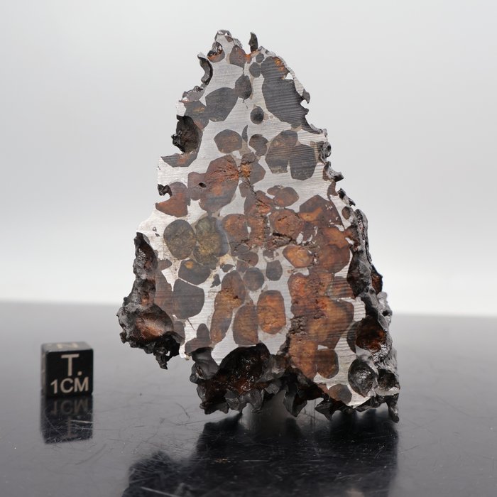 XXL SERICHO Meteoritt Flott stykke med oliviner - 240 g - (1)