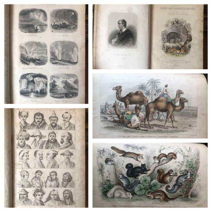 Oliver Goldsmith - A History of the Earth and Animated Nature Vol. 1 - 1851