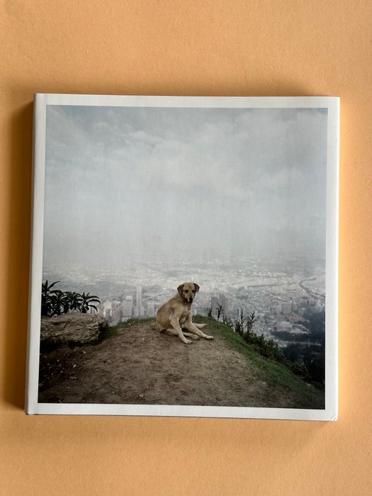 Alec Soth - Dog days, Bogota - 2007