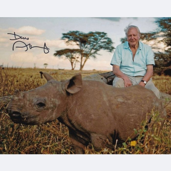 TV and Documentary Legend - Signed by Sir David Attenborough