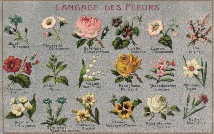 Språk av blommor Kärlek - inklusive Flower Language, Love Language inklusive litografier, relief - Vykort (63) - 1900-1940