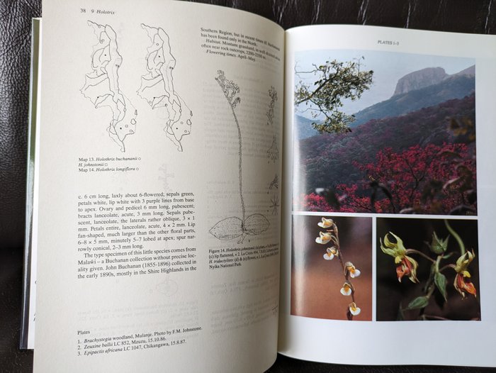 I. F. La Croix, I. McLeish, N. R. Pearce, B. R. Adams, H. P. Linder, H. Kurzweil - Orchids of Malawim. Native Orchids of Belize, Orchids of Southern Africa - 1991-1999