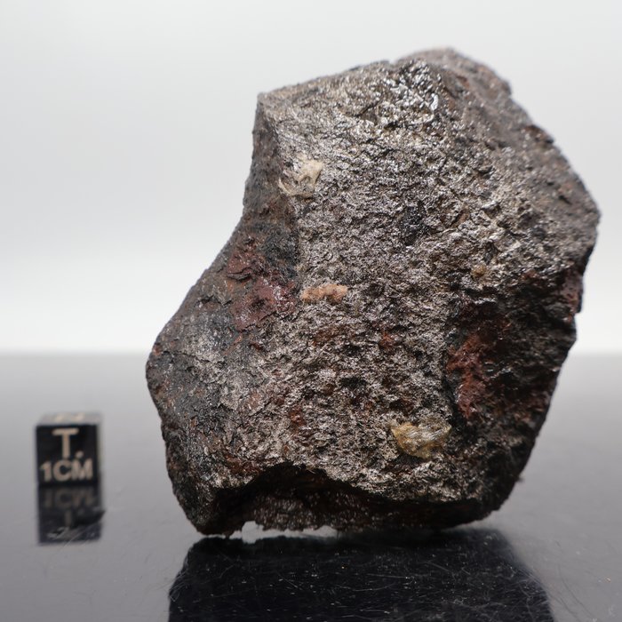Campo del Cielo, Nucleus of an Asteroid ***SPECIAL, DO NOT RESERVE PRICE*** Metallic Meteorite - 510 g