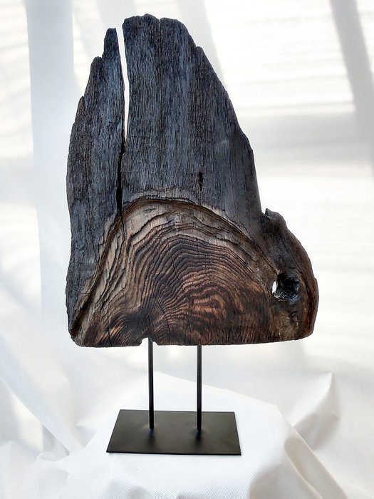 THE FOREST Art & Woodworking Studio - M. Paszko - Escultura, Echo of the Sea - 62 cm - Madera - 2024