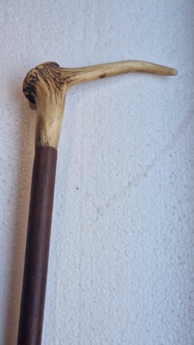手杖 - 木