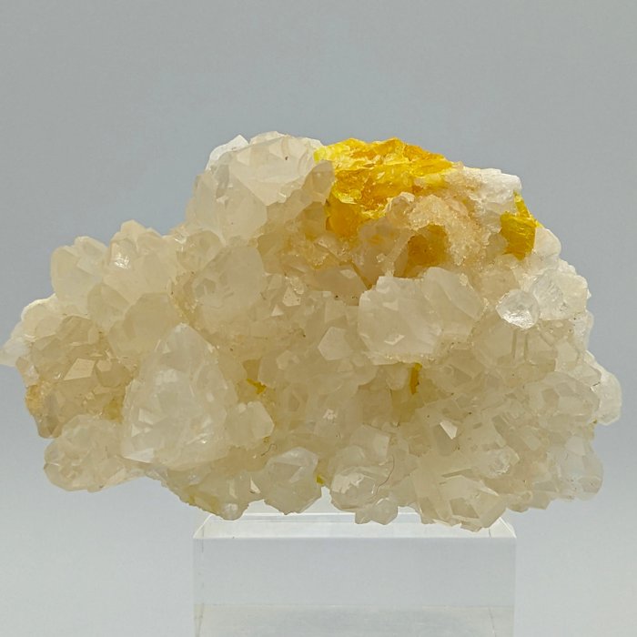 CELESTINA BIANCA 上的大黃硫磺，優雅 矩陣晶體 - 高度: 82 mm - 闊度: 50 mm- 194.59 g