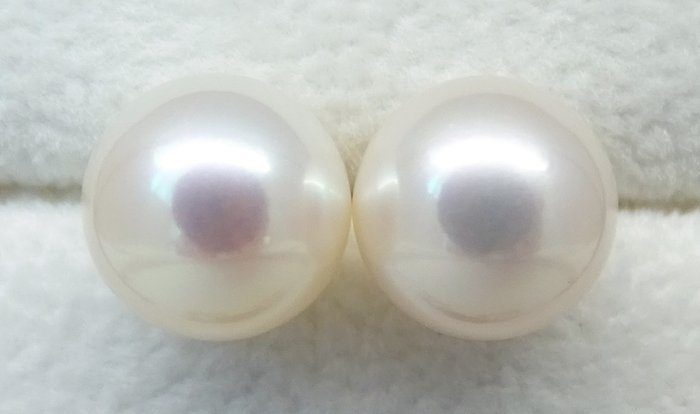 沒有保留價 - South Sea Pearls, Round 9,5 -10 mm - 耳釘耳環 - 14 克拉 黃金 
