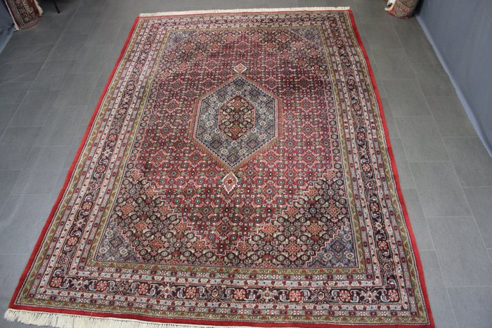 Bidjar - 小地毯 - 348 cm - 248 cm