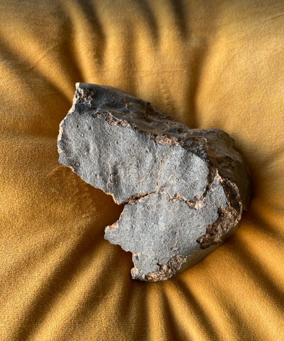 RNF 12629 - L4 Météorite de Chondrite - Hauteur : 8 cm - Largeur : 12 cm - 519 g