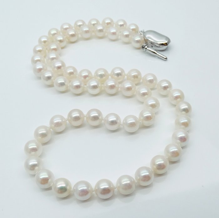 没有保留价 - Akoya Pearls, Round, 6.5 -7 mm - 项链 银 