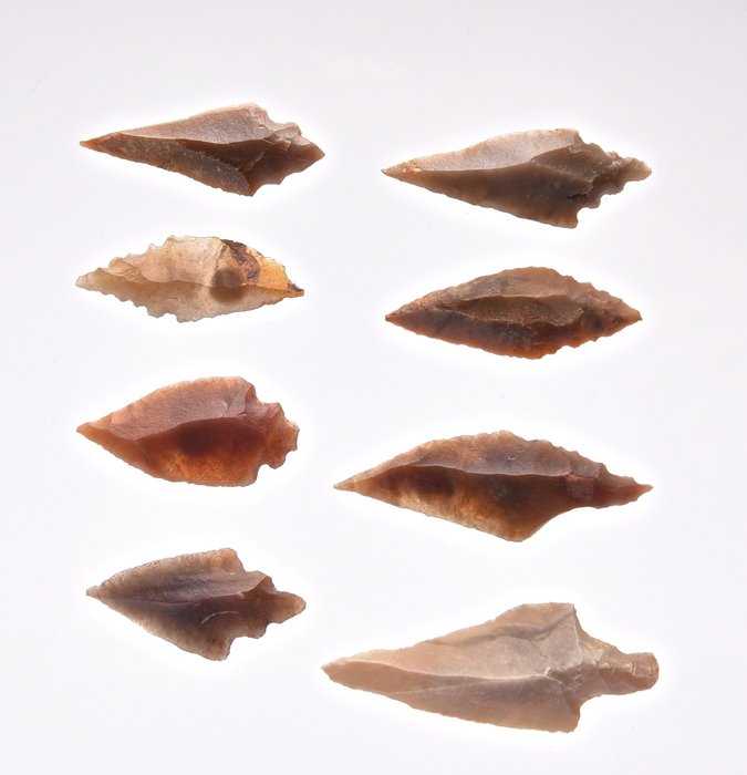8 neolithic arrowheads, Tenere-culture, 5200/2500 B.C. agaat,  vuursteen Pijlpunt  (Zonder Minimumprijs)